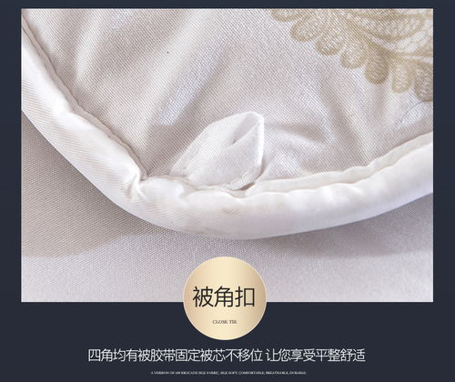 花花公子 playboy 家紡床上用品親膚磨毛加厚保暖羊毛被